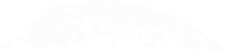 Primary Raster logo